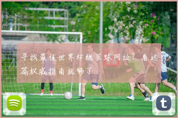 寻找最佳世界杯线买球网址？看这篇权威指南就够了