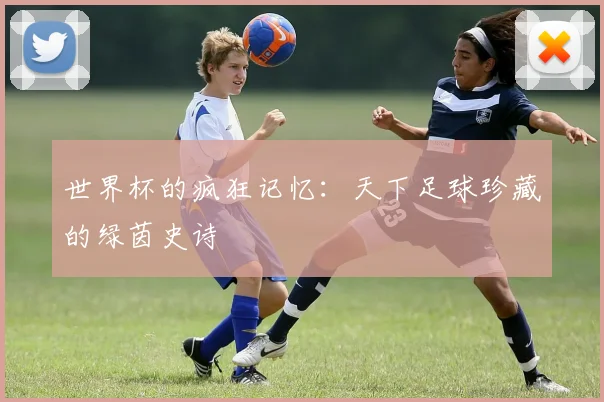 世界杯的疯狂记忆:天下足球珍藏的绿茵史诗