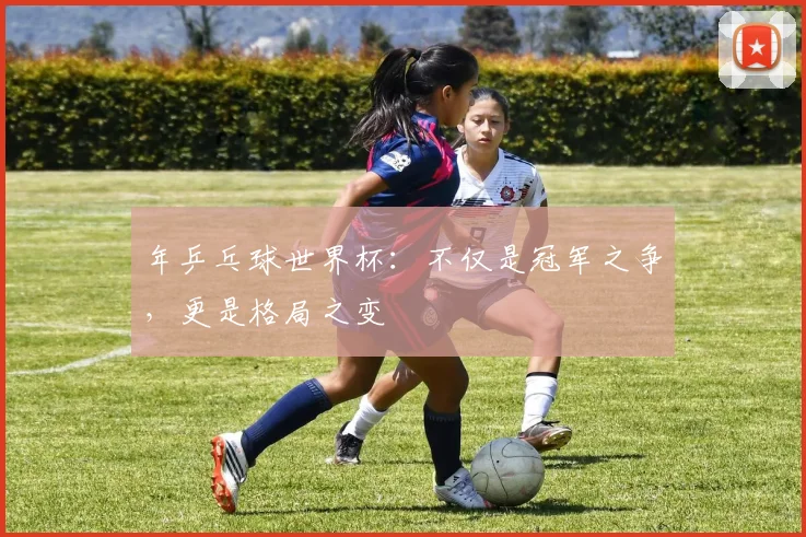 年乒乓球世界杯:不仅是冠军之争,更是格局之变