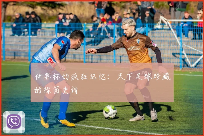 世界杯的疯狂记忆:天下足球珍藏的绿茵史诗