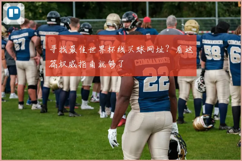 寻找最佳世界杯线买球网址？看这篇权威指南就够了