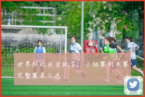 世界杯比分全纪录:小组赛到决赛完整赛果汇总