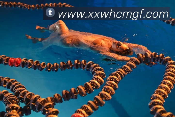 9游会官网入口发展历程